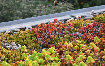 the cost of Cottenham green roof installation