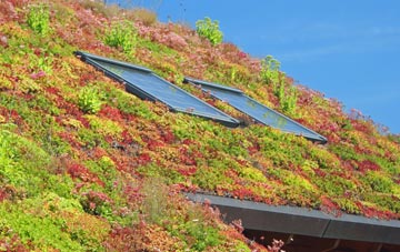 Cottenham living roof systems