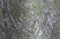 Cottenham fibreglass roof work